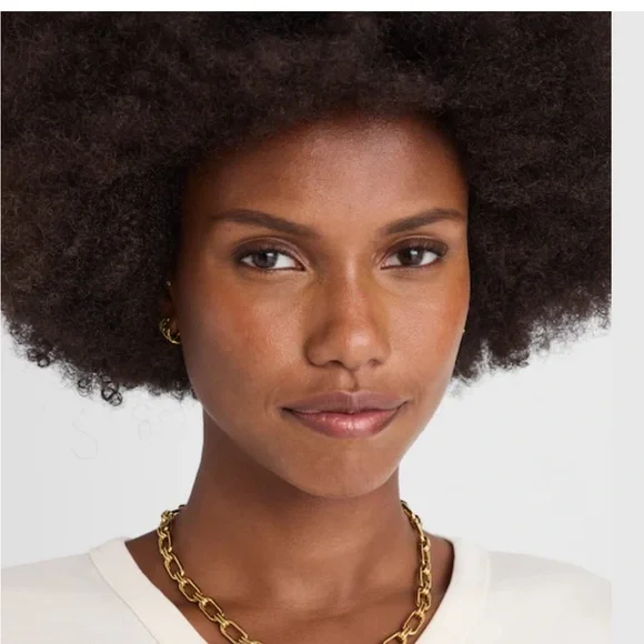 Madewell chunky link chain necklace NEW with dust bag - Picture 2 of 8